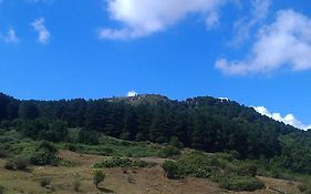 Montagna, Mare E Cultura.